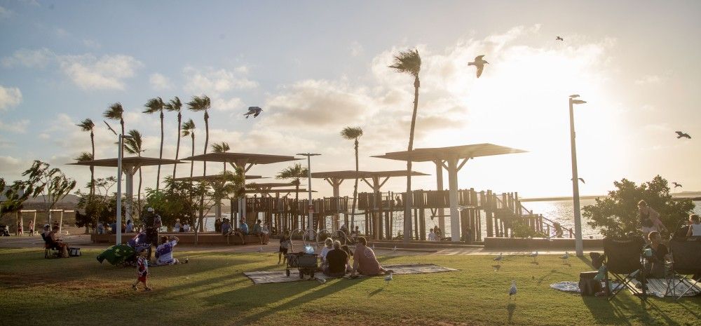 Dampier Palms birds flying over